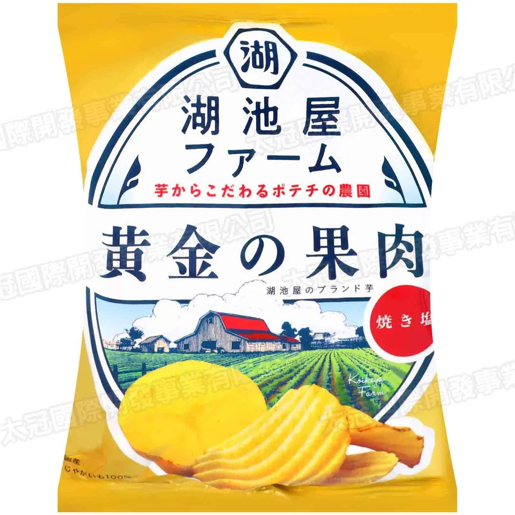 KOIKEYA FARM GOLDEN SALT POTATO CHIPS 55 G