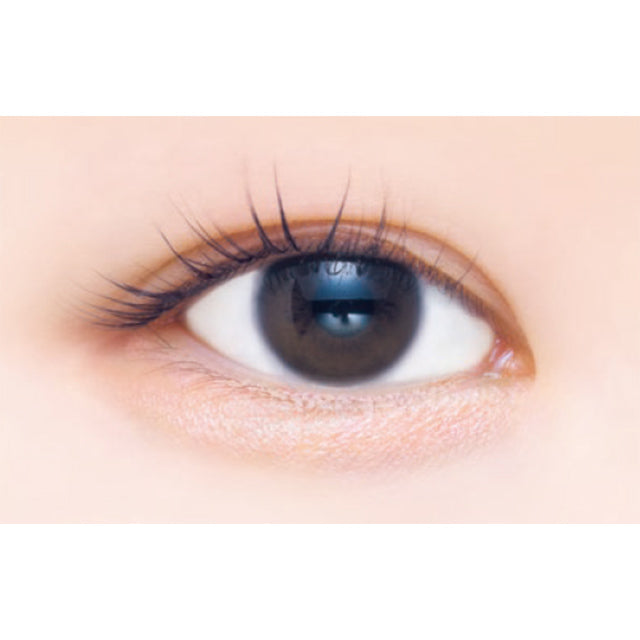 CANMAKE PLUMPUKU COORDINATE EYES N01 SHIRATAMA