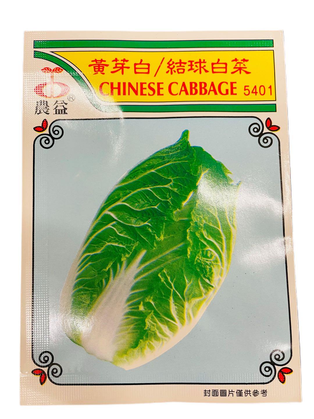 CHINESE CABBAGE (BRASSICA CHINENSIS) (WONG YA BOK) (CELERY CABBAGE) - Premium Co  Groceries 