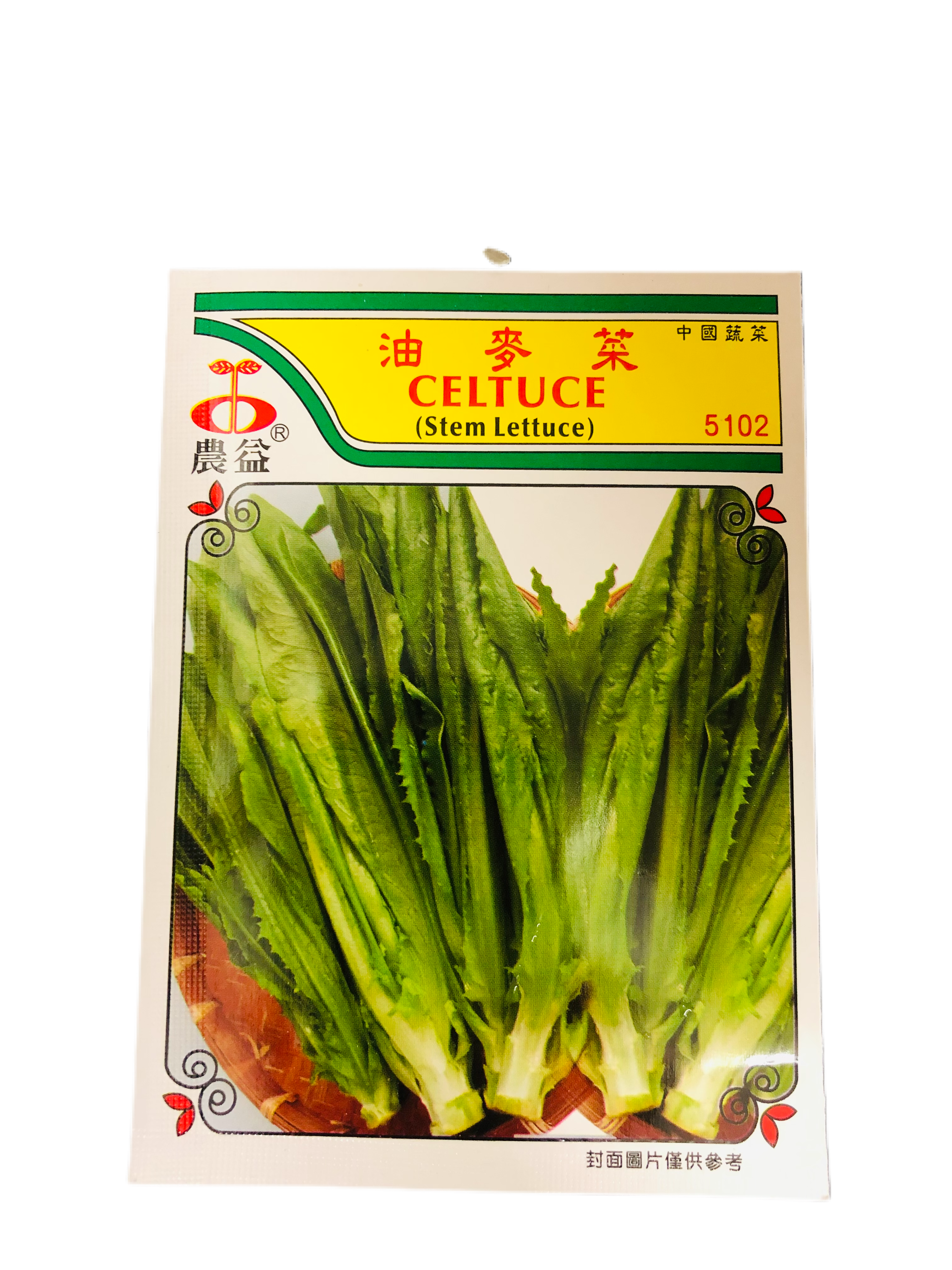 CELTUCE(STEM LETTUCE)(LACTUCA SATIVA) - Premium Co  Groceries 